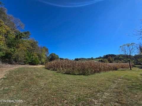 Tiny photo for 106 Ely Lane, Cumberland Gap, TN 37724 (MLS # 1359628)