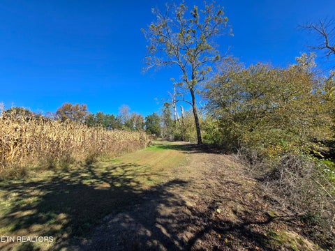 Tiny photo for 106 Ely Lane, Cumberland Gap, TN 37724 (MLS # 1359628)