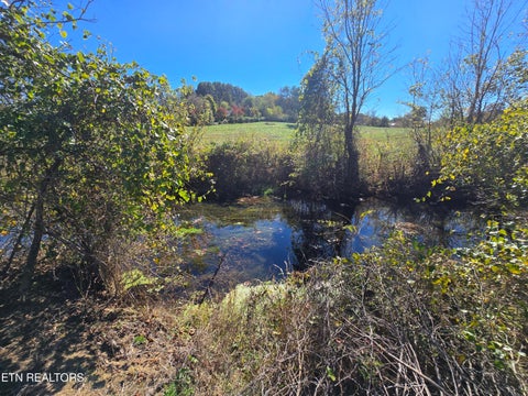 Tiny photo for 106 Ely Lane, Cumberland Gap, TN 37724 (MLS # 1359628)