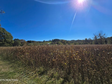 Tiny photo for 106 Ely Lane, Cumberland Gap, TN 37724 (MLS # 1359628)