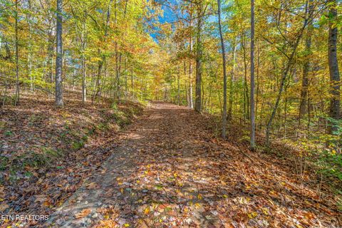 Tiny photo for 367 Emory River Rd, Harriman, TN 37748 (MLS # 1321004)