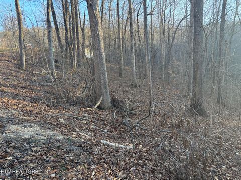 Tiny photo for Lake Drive Lane, LaFollette, TN 37766 (MLS # 1325416)