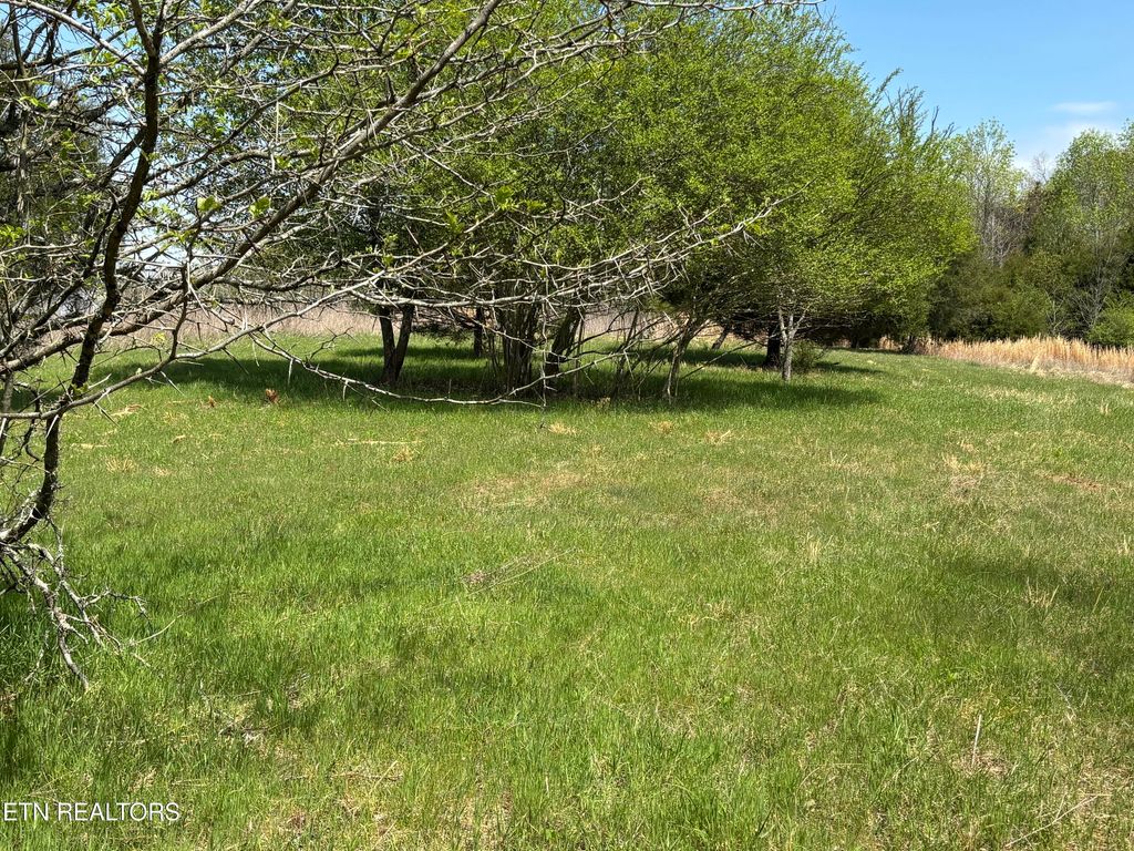 Photo of E Shore Drive, Rockwood, TN 37854 (MLS # 1333105)