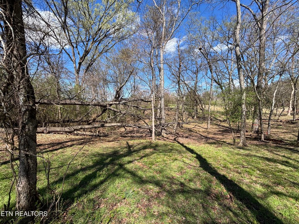 Photo of E Shore Drive, Rockwood, TN 37854 (MLS # 1333105)