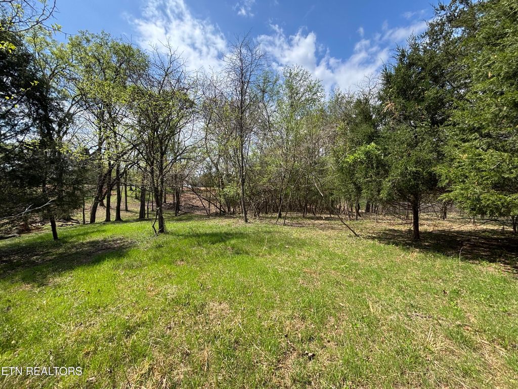 Photo of E Shore Drive, Rockwood, TN 37854 (MLS # 1333105)