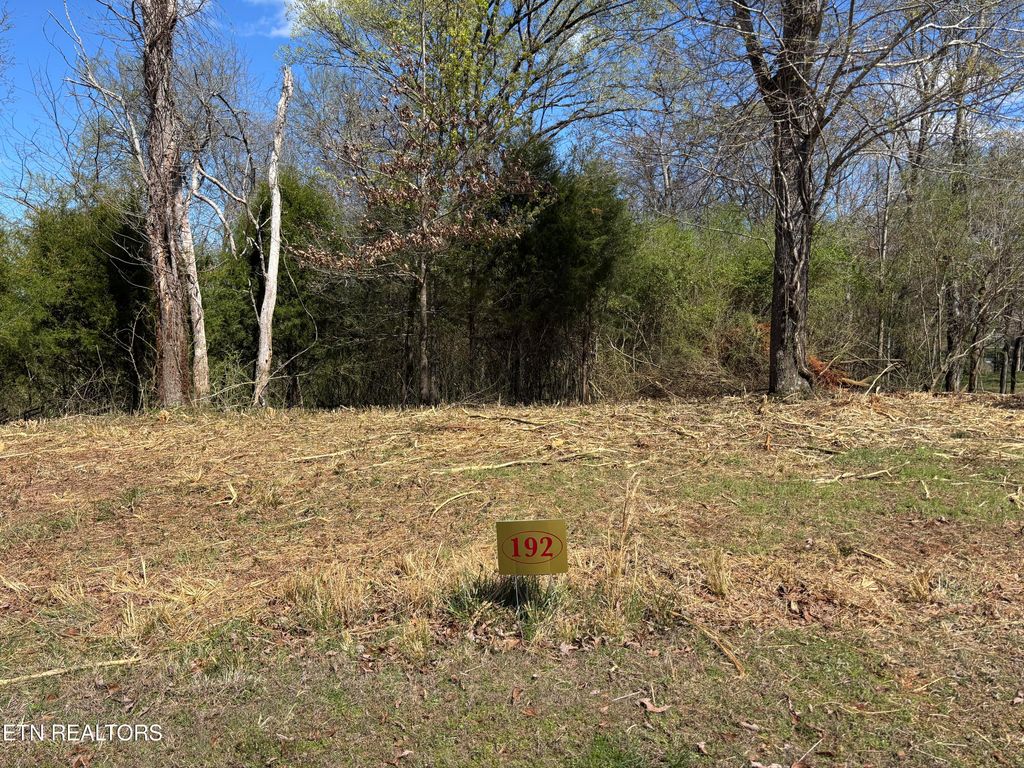 Photo of E Shore Drive, Rockwood, TN 37854 (MLS # 1333105)