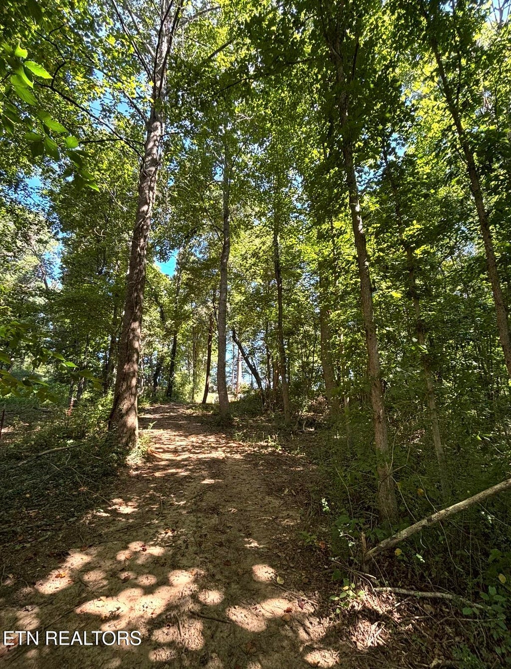 Photo of 388 W Toomey Lane, Madisonville, TN 37354 (MLS # 1353579)