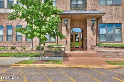 Photo of 445 W Blount Ave #102, Knoxville, TN 37920 (MLS # 1319306)
