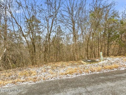 Tiny photo for 499 Citron Lane, New Tazewell, TN 37825 (MLS # 1328695)