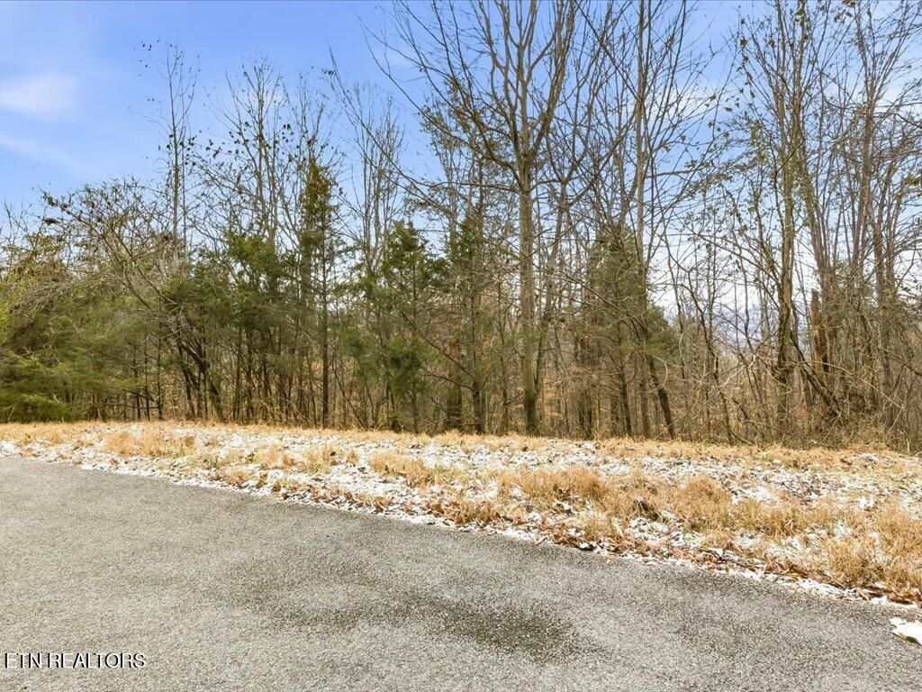 Photo of 499 Citron Lane, New Tazewell, TN 37825 (MLS # 1328695)