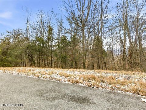 Tiny photo for 499 Citron Lane, New Tazewell, TN 37825 (MLS # 1328695)