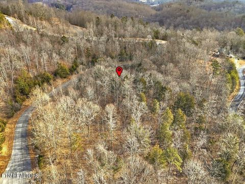 Tiny photo for 499 Citron Lane, New Tazewell, TN 37825 (MLS # 1328695)