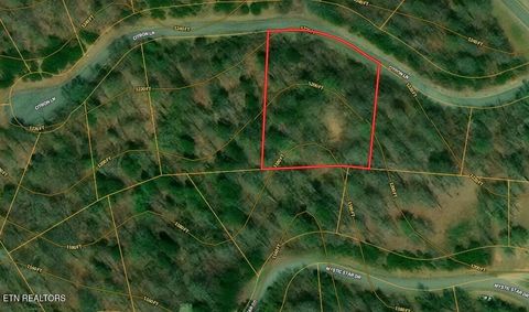 Tiny photo for 499 Citron Lane, New Tazewell, TN 37825 (MLS # 1328695)