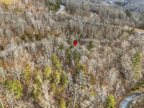 Tiny photo for 499 Citron Lane, New Tazewell, TN 37825 (MLS # 1328695)