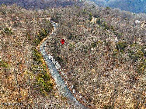 Tiny photo for 499 Citron Lane, New Tazewell, TN 37825 (MLS # 1328695)