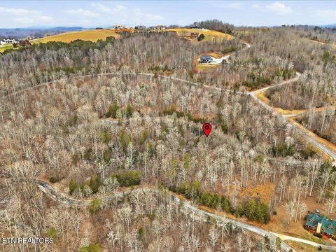 Tiny photo for 499 Citron Lane, New Tazewell, TN 37825 (MLS # 1328695)