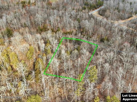 Tiny photo for 499 Citron Lane, New Tazewell, TN 37825 (MLS # 1328695)