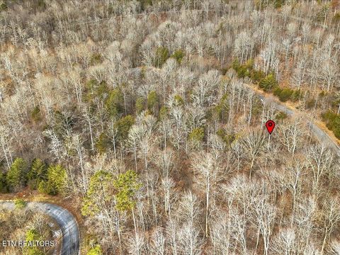 Tiny photo for 499 Citron Lane, New Tazewell, TN 37825 (MLS # 1328695)