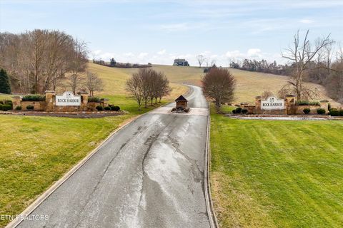 Tiny photo for 499 Citron Lane, New Tazewell, TN 37825 (MLS # 1328695)