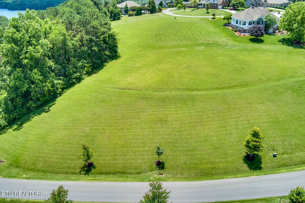 Photo of 101 Timberlake Drive, Greenback, TN 37742 (MLS # 1265545)
