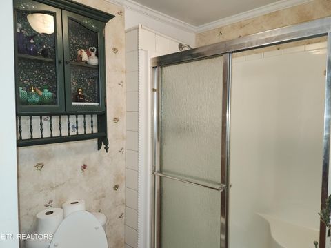 Tiny photo for 244 county road 146, Riceville, TN 37370 (MLS # 1317611)