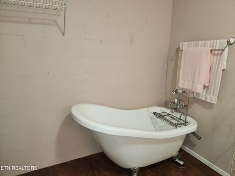 Tiny photo for 244 county road 146, Riceville, TN 37370 (MLS # 1317611)