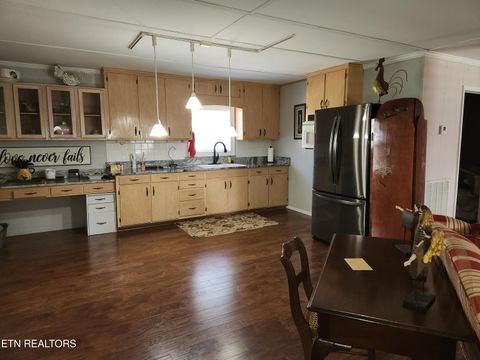 Tiny photo for 244 county road 146, Riceville, TN 37370 (MLS # 1317611)
