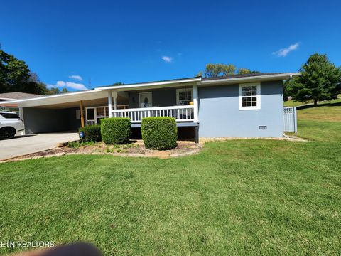 Tiny photo for 244 county road 146, Riceville, TN 37370 (MLS # 1317611)