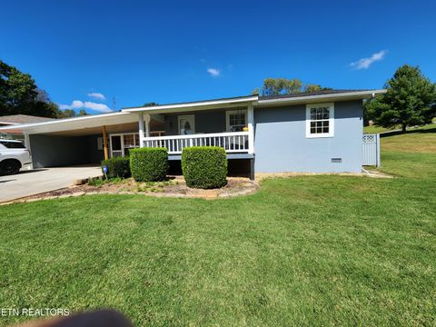 Tiny photo for 244 county road 146, Riceville, TN 37370 (MLS # 1317611)