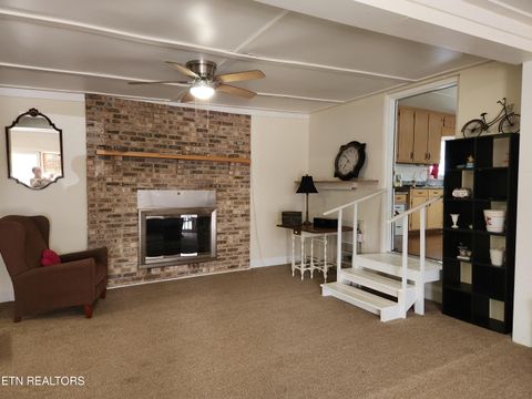 Tiny photo for 244 county road 146, Riceville, TN 37370 (MLS # 1317611)