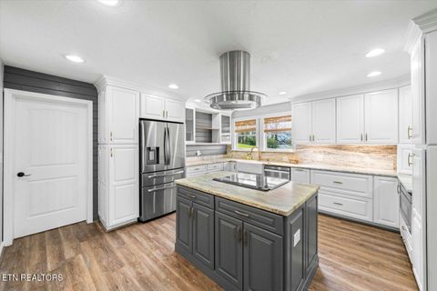 Tiny photo for 1888 Wilderness Drive, Talbott, TN 37877 (MLS # 1317493)