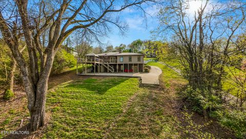Tiny photo for 1888 Wilderness Drive, Talbott, TN 37877 (MLS # 1317493)