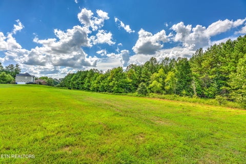 Tiny photo for 114 W Elderberry St, Oak Ridge, TN 37830 (MLS # 1351220)