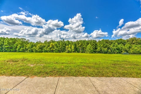 Photo of 114 W Elderberry St, Oak Ridge, TN 37830 (MLS # 1351220)