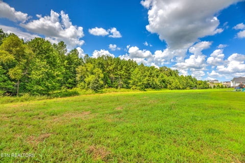 Tiny photo for 114 W Elderberry St, Oak Ridge, TN 37830 (MLS # 1351220)
