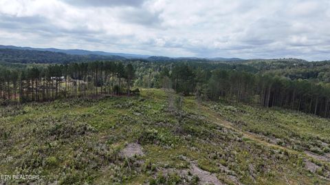 Tiny photo for 658 County Road 48, Athens, TN 37303 (MLS # 1316875)