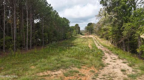 Tiny photo for 658 County Road 48, Athens, TN 37303 (MLS # 1316875)