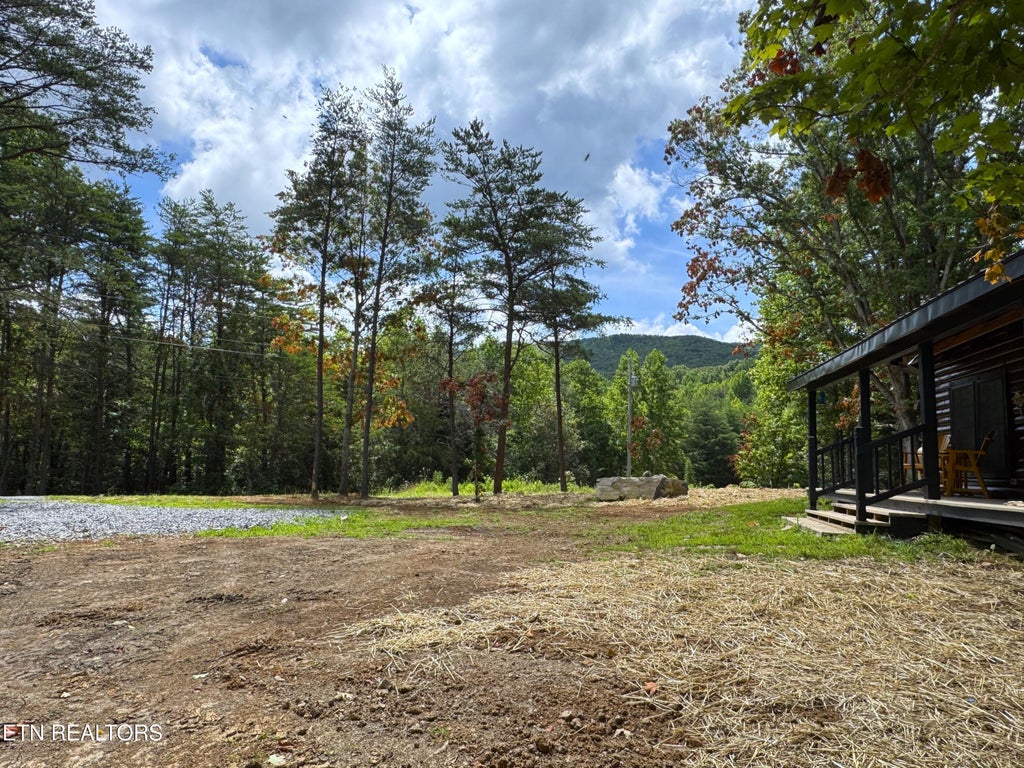 Photo of 1014 Lightnen Rd, Parrottsville, TN 37843 (MLS # 1307151)