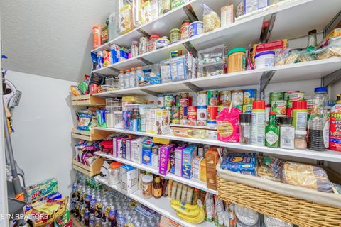 Tiny photo for 152 Ibis Loop, Oak Ridge, TN 37830 (MLS # 1335717)