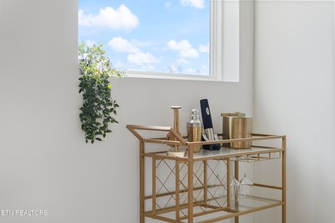 Tiny photo for 837 N 4th Ave #8, Knoxville, TN 37917 (MLS # 1337801)