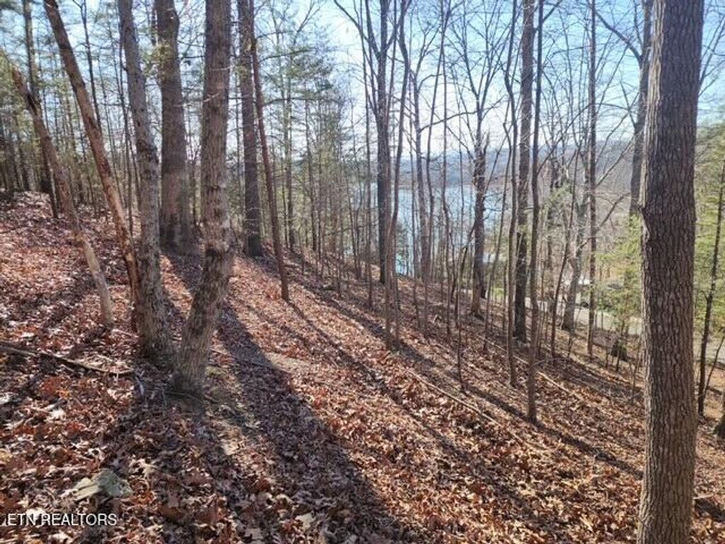 Photo of Deer Pond Circle, LaFollette, TN 37766 (MLS # 1281469)