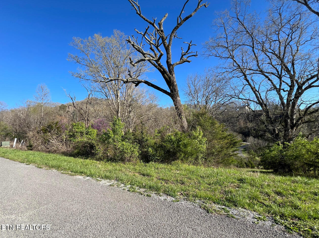 lot 356R Larayne Hollow Rd