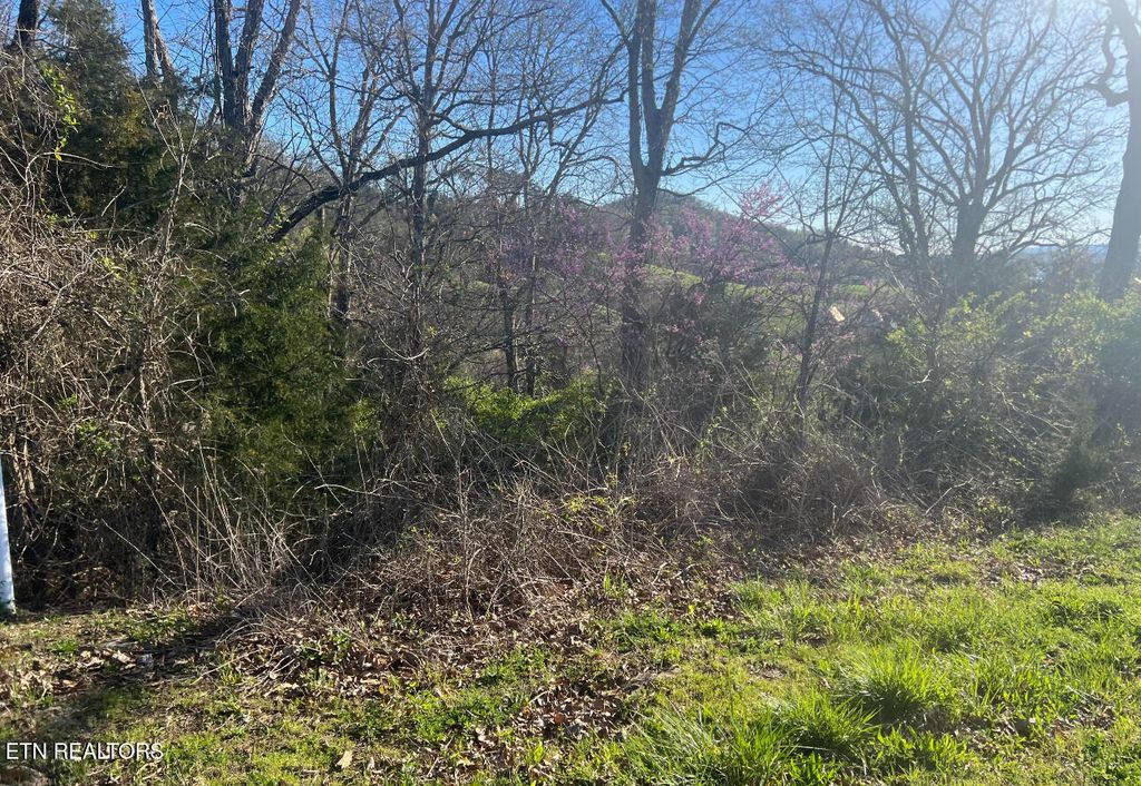 Photo of 356 Larayne Hollow Rd, Sharps Chapel, TN 37866 (MLS # 1307130)