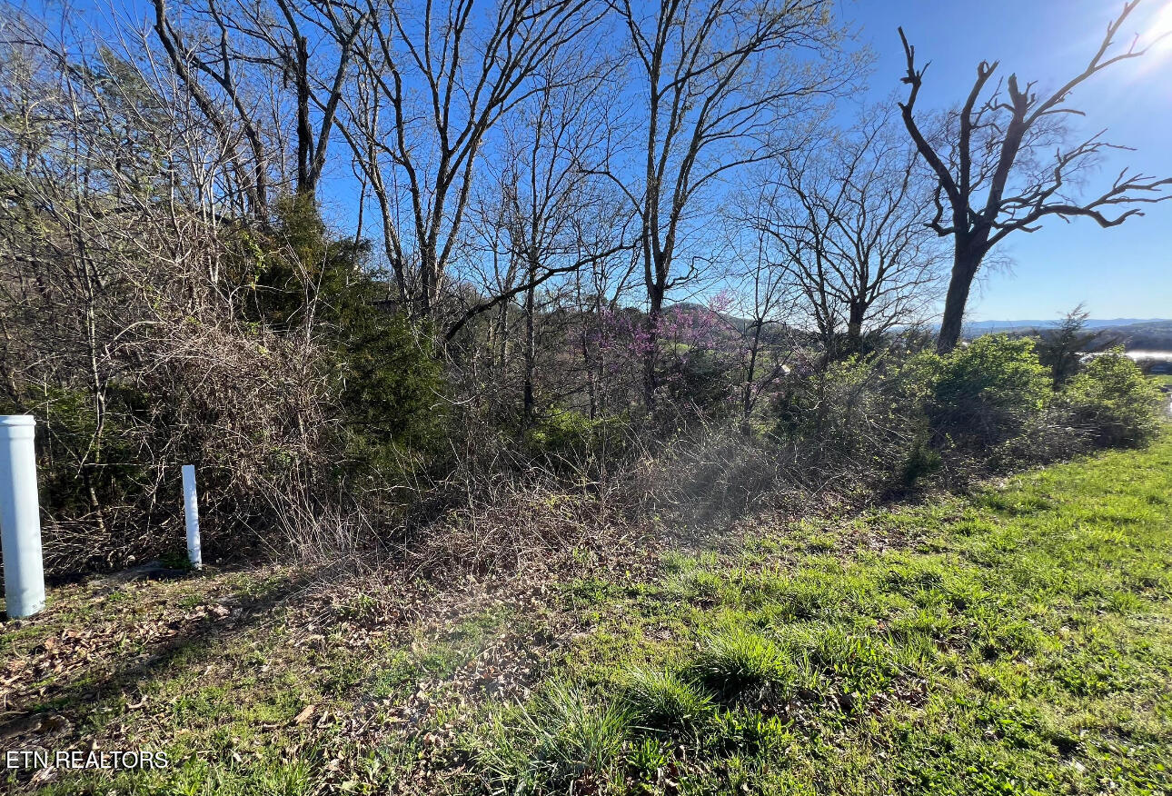 lot 356R Larayne Hollow Rd