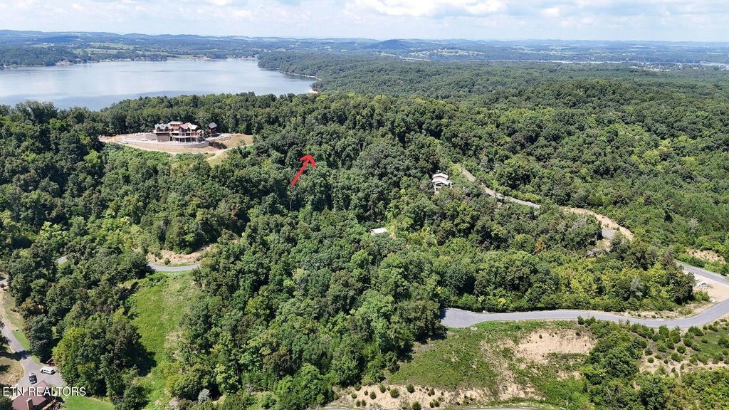 Photo of 87 Stone Vista Drive, Dandridge, TN 37725 (MLS # 1339165)