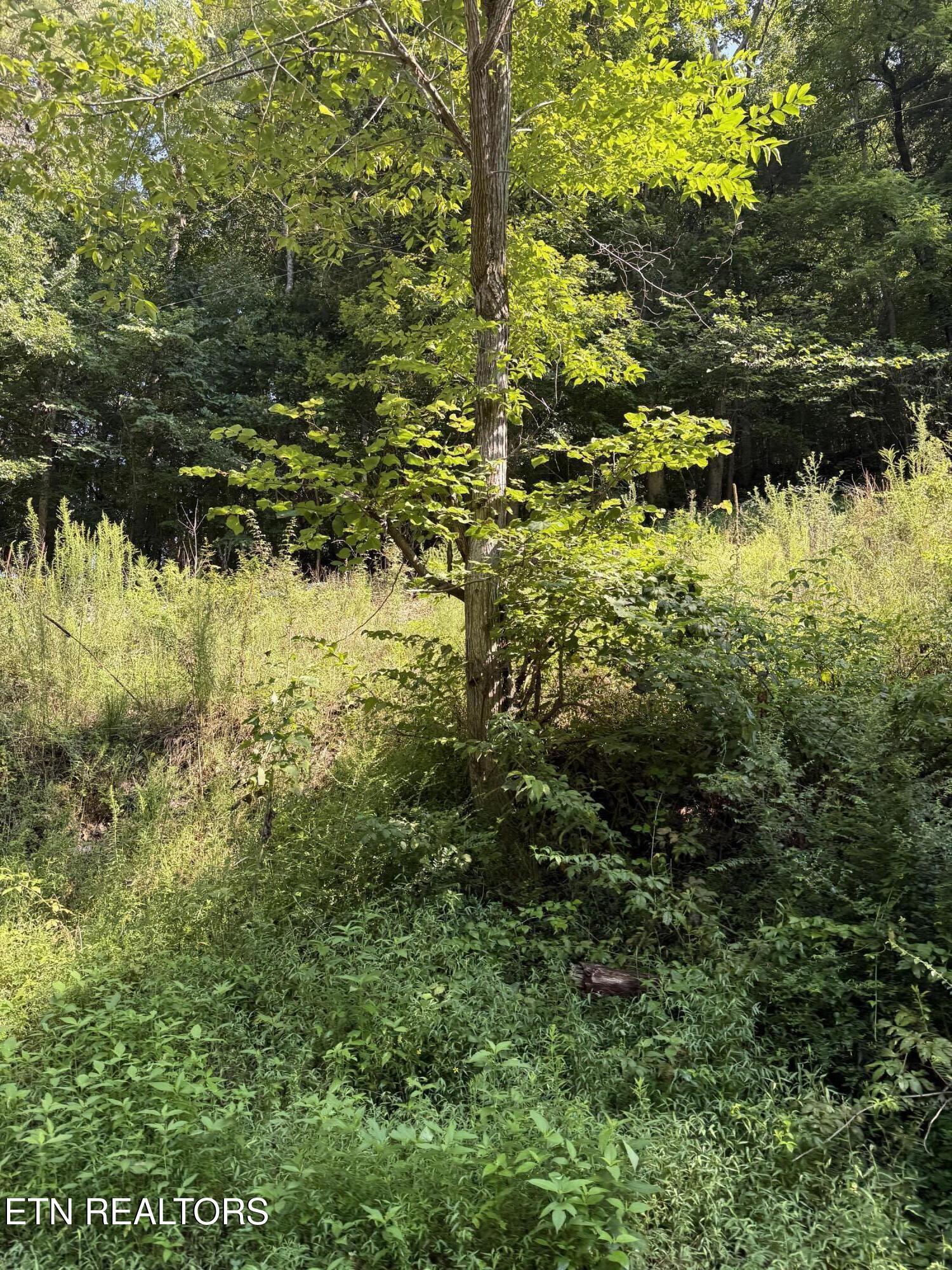 115 Hughes Hollow Rd