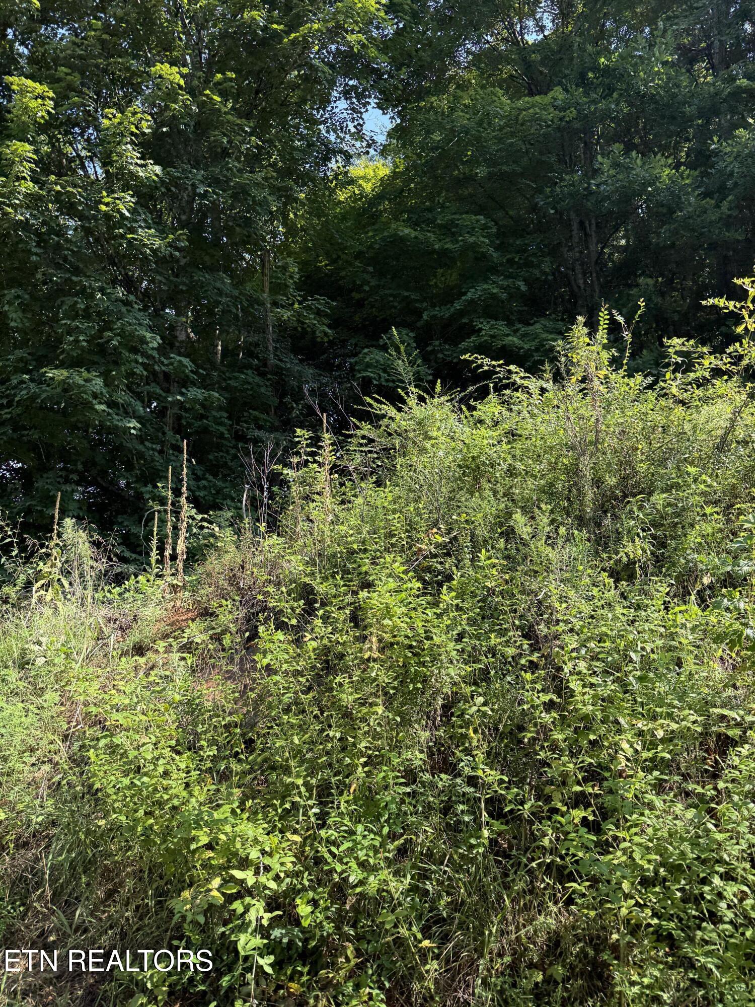 115 Hughes Hollow Rd