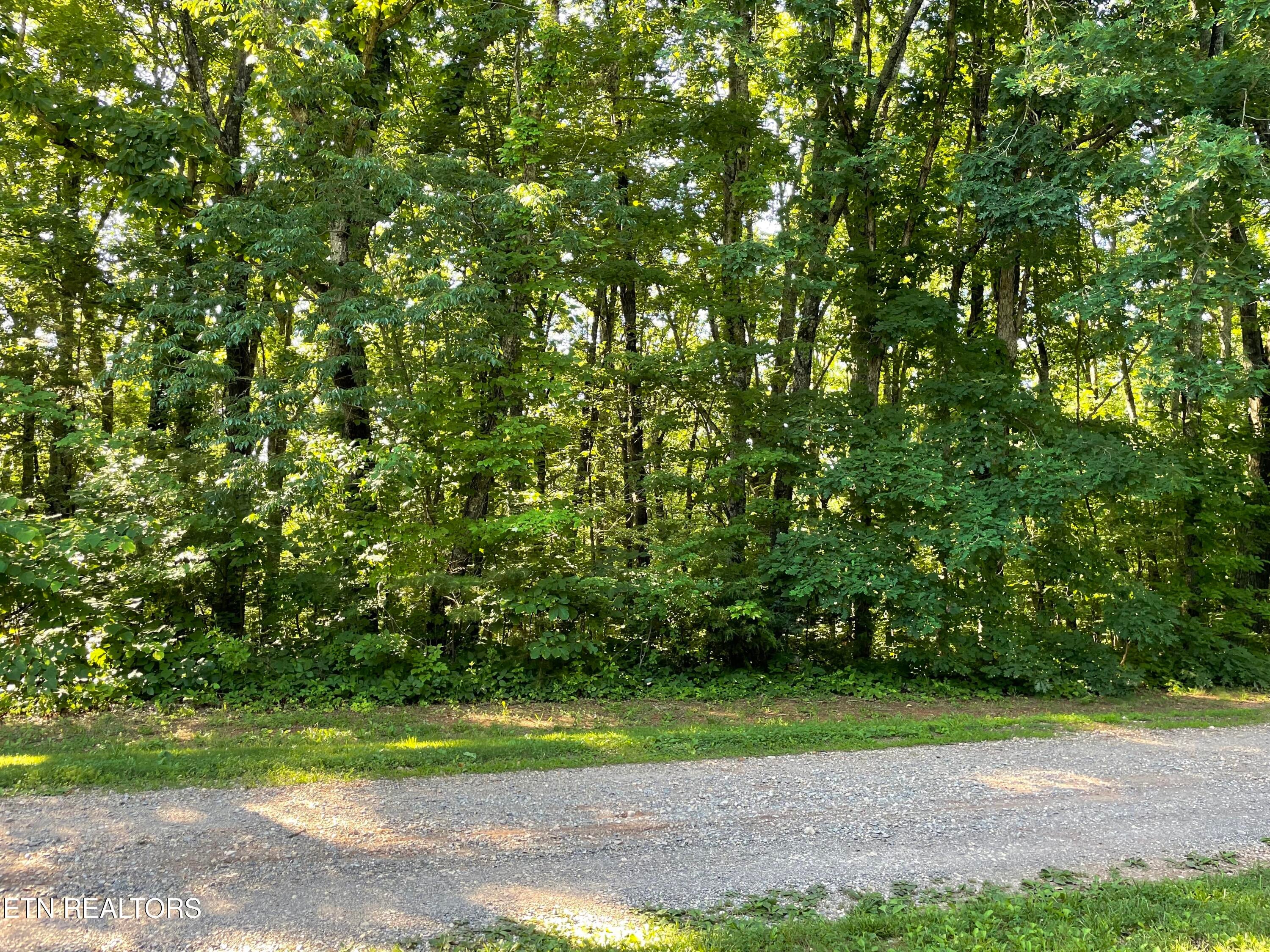 Highway 411 Lot 3