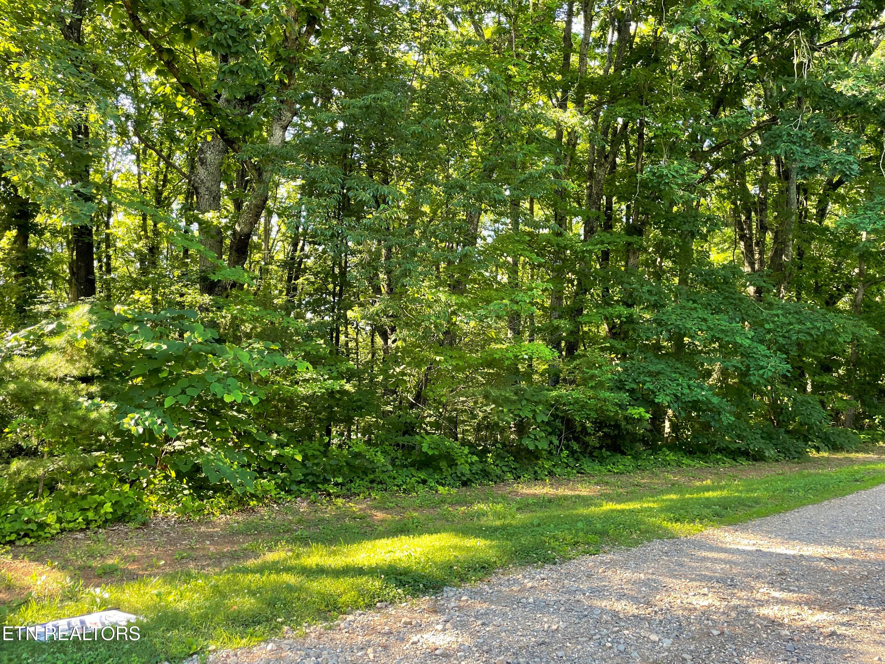 Highway 411 Lot 3