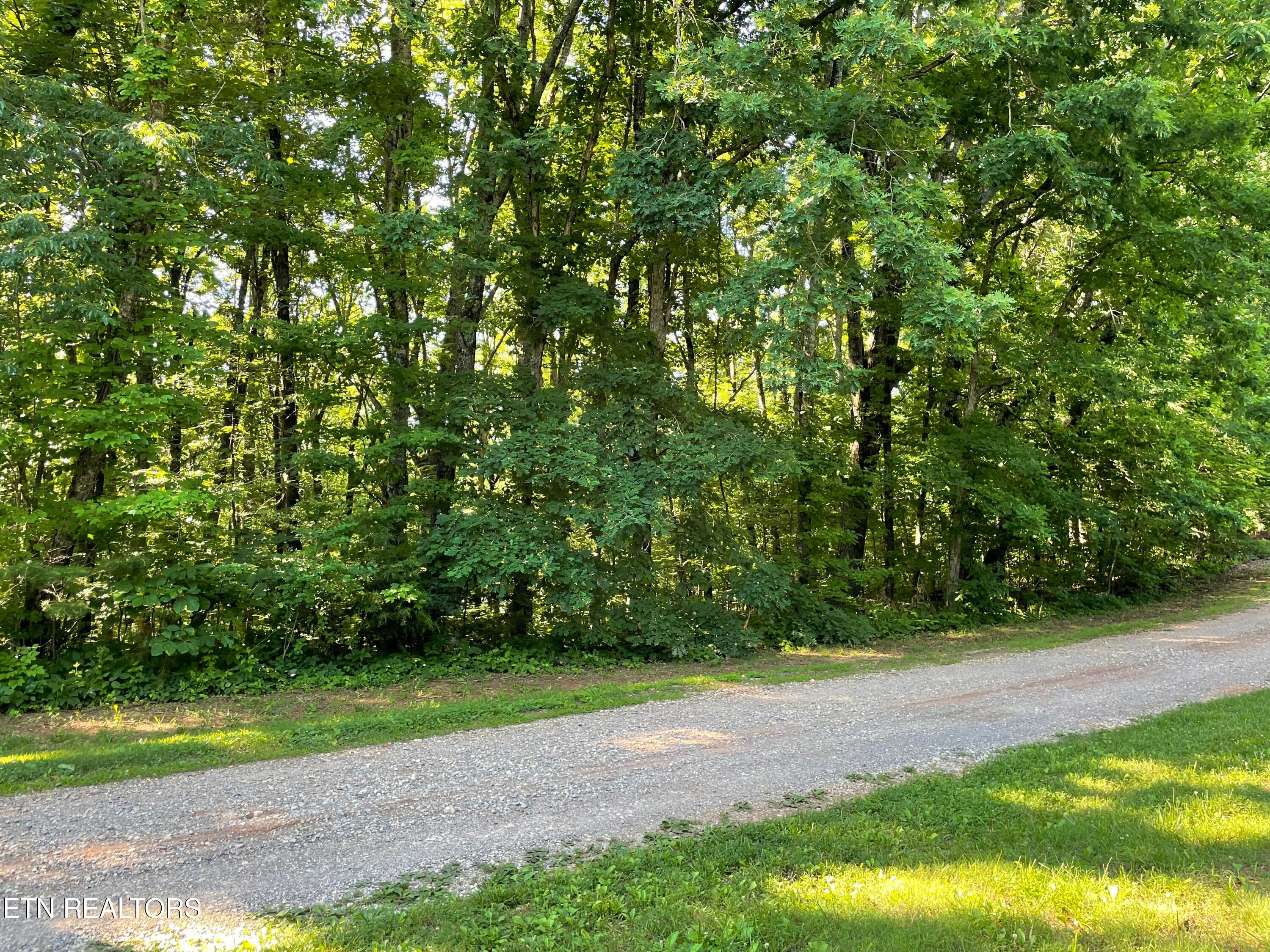 Highway 411 Lot 3